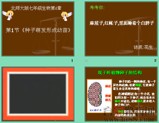 鿴Ԥͼ