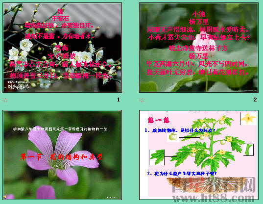 鿴Ԥͼ