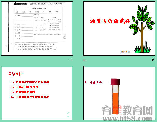 鿴Ԥͼ