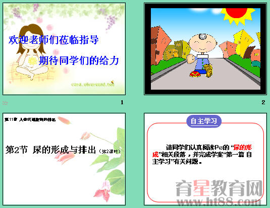 鿴Ԥͼ