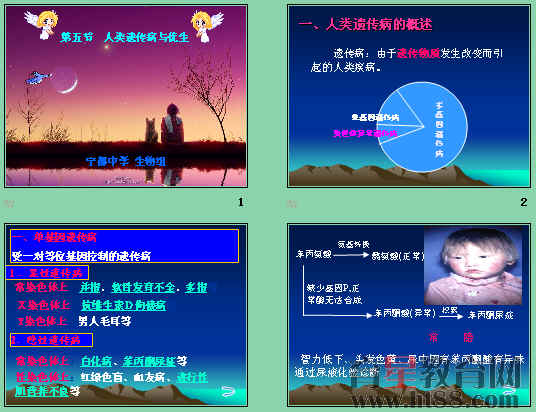 查看预览图