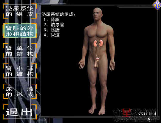 鿴Ԥͼ