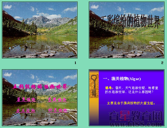 鿴Ԥͼ