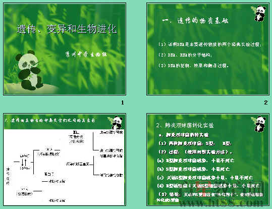 鿴Ԥͼ