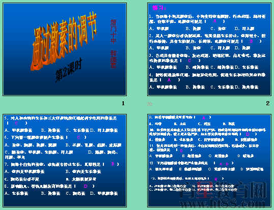 鿴Ԥͼ