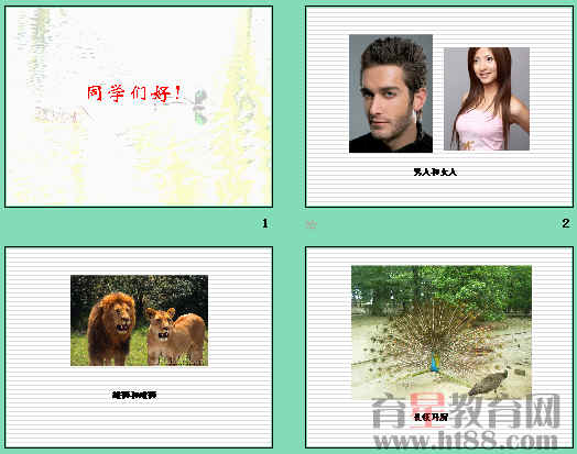 鿴Ԥͼ