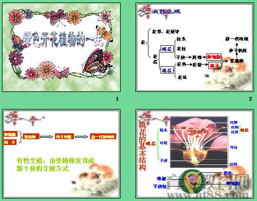 鿴Ԥͼ
