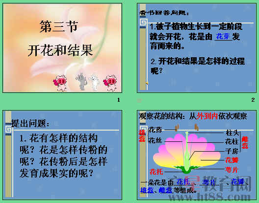 鿴Ԥͼ