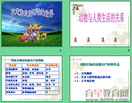 鿴Ԥͼ