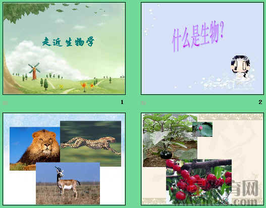 鿴Ԥͼ