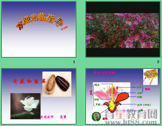 鿴Ԥͼ