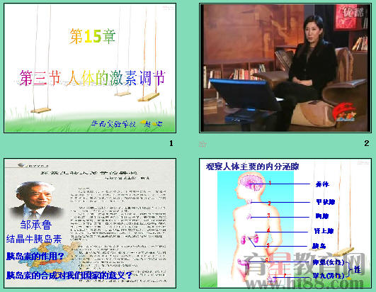 鿴Ԥͼ