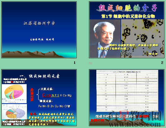 鿴Ԥͼ