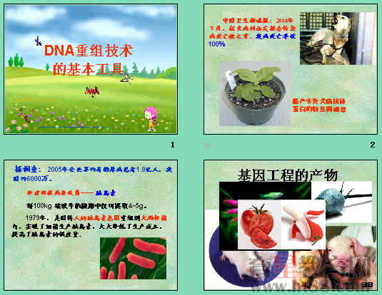 查看预览图