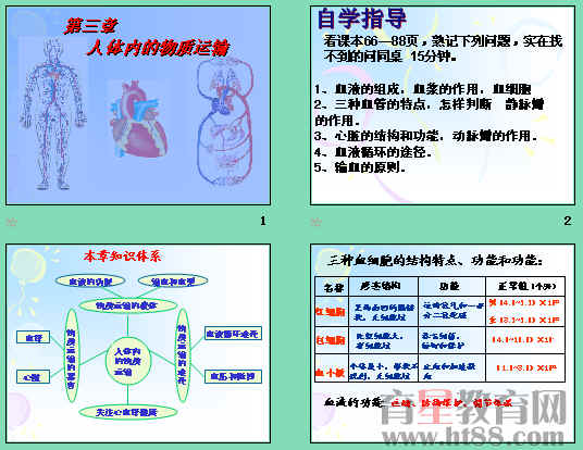 鿴Ԥͼ