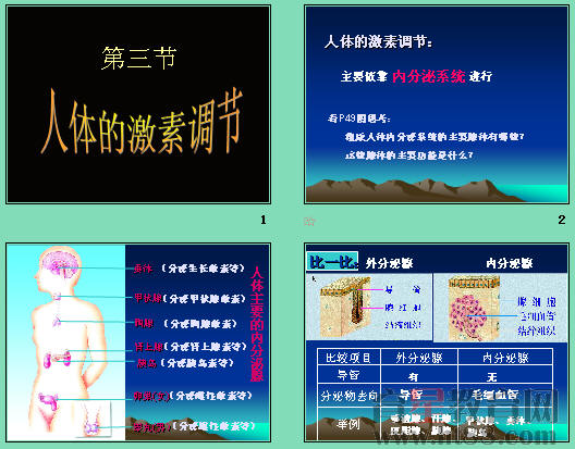 鿴Ԥͼ