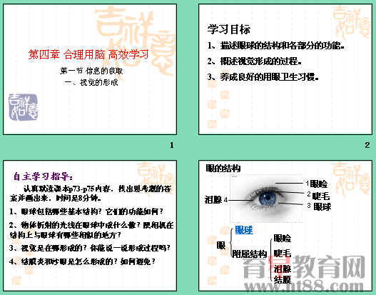 查看预览图