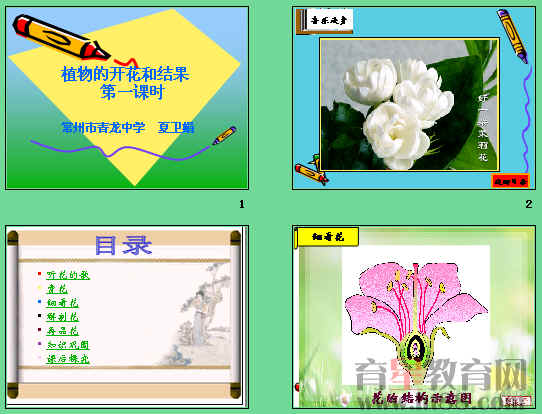 鿴Ԥͼ