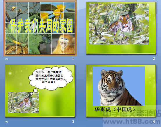 查看预览图