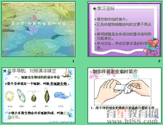 鿴Ԥͼ