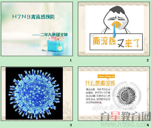 鿴Ԥͼ