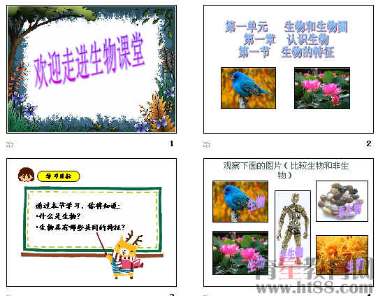 鿴Ԥͼ