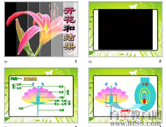 鿴Ԥͼ