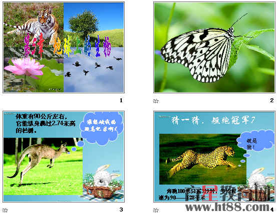 鿴Ԥͼ
