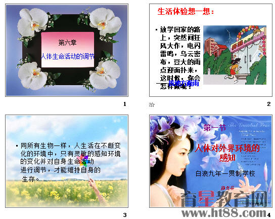 鿴Ԥͼ