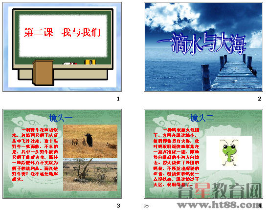 查看预览图