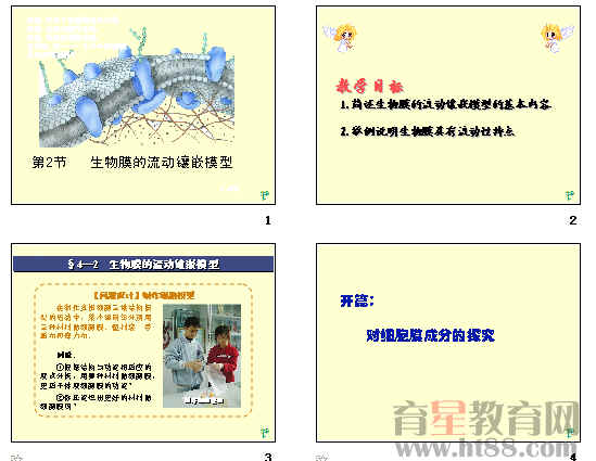 鿴Ԥͼ