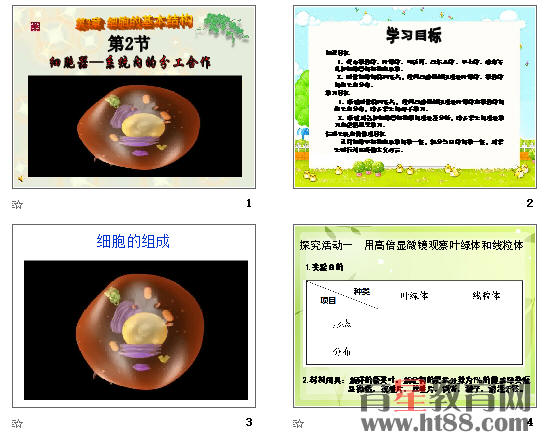 查看预览图