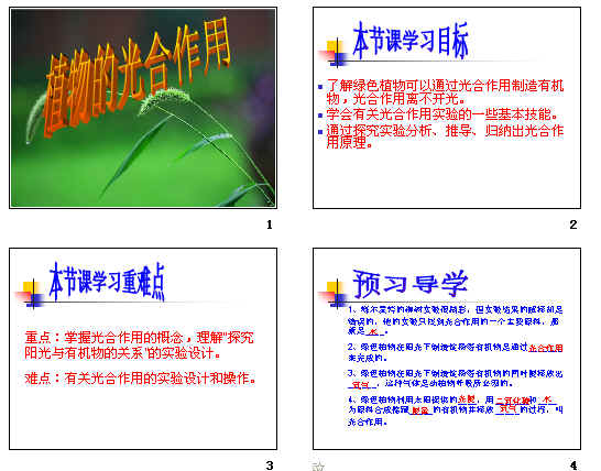 鿴Ԥͼ