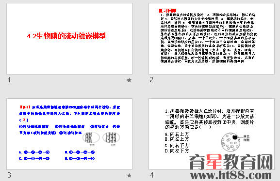 鿴Ԥͼ