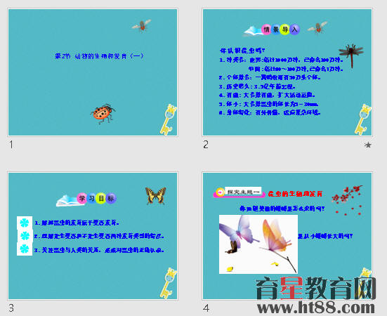 鿴Ԥͼ