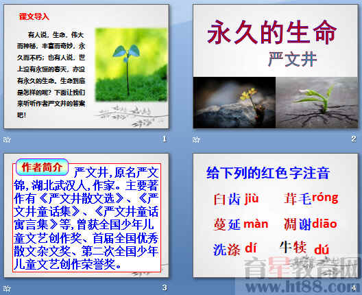 查看预览图