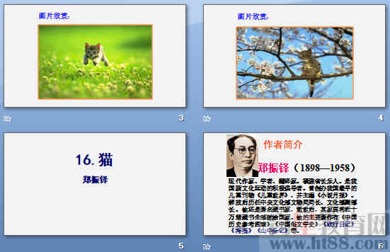 鿴Ԥͼ