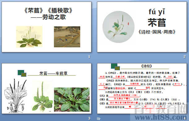 查看预览图